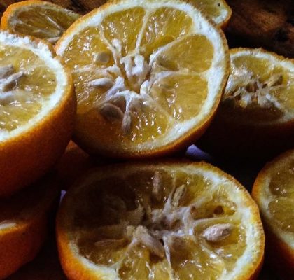 baked caramelized oranges recipe by rasoi menu